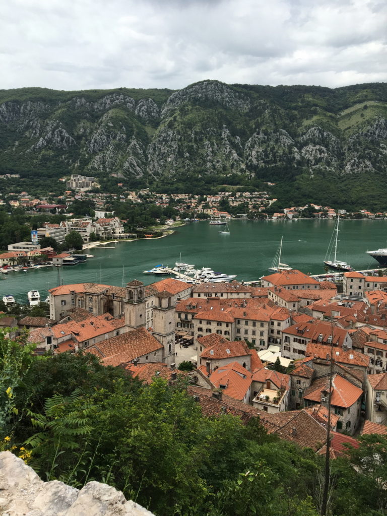 montenegro business residency